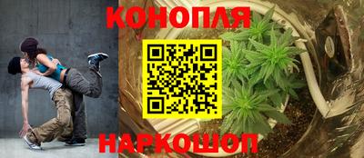 мяу мяу мука Кандалакша