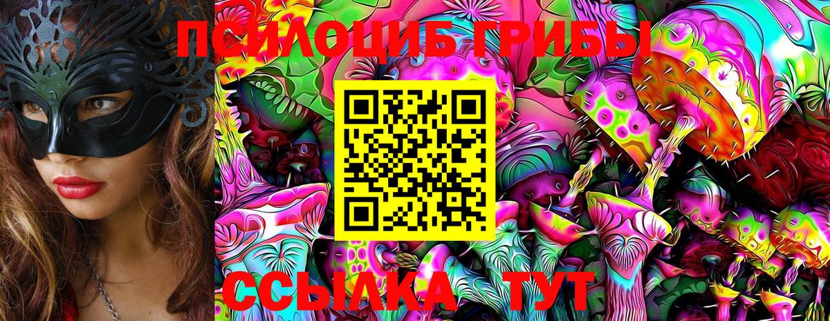 Галлюциногенные грибы Psilocybine cubensis  Вход с VPN  Псилоцибиновые грибы мицелий  Магадан 