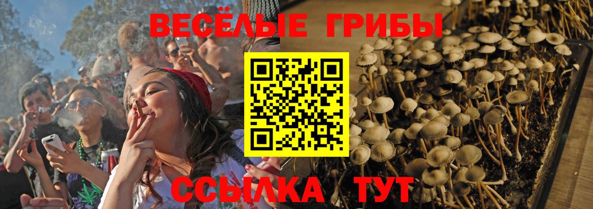 Галлюциногенные грибы ЛСД Магадан